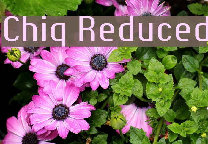 Chiq Reduced Example 3