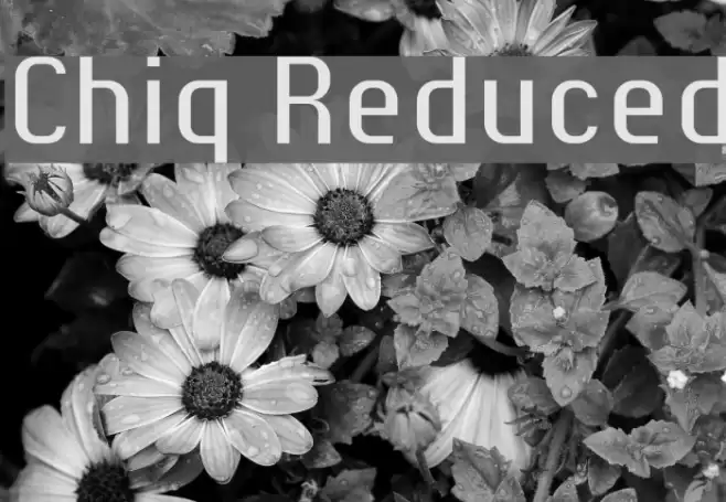 Chiq Reduced Font examples