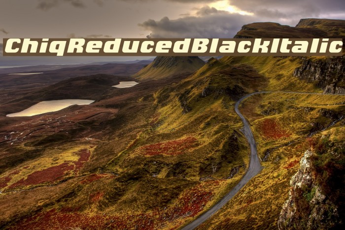 ChiqReduced-BlackItalic Font examples