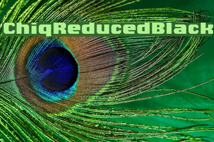 ChiqReduced-Black Example 1