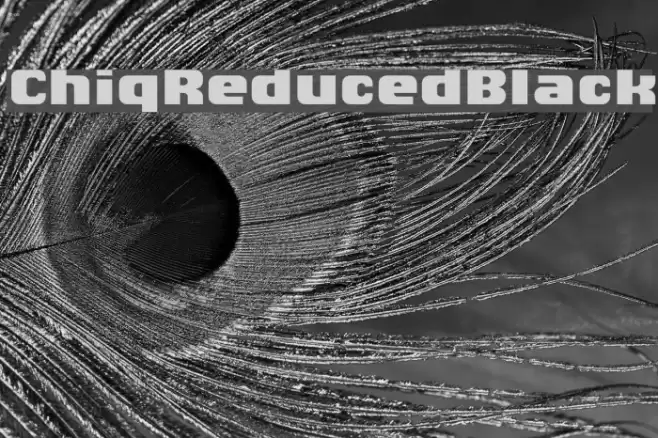 ChiqReduced-Black Font examples