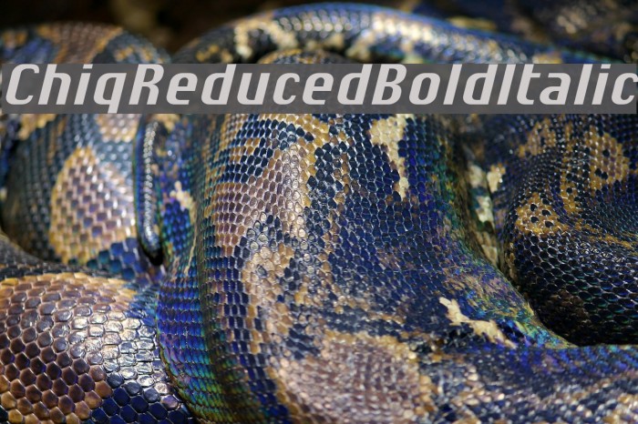 ChiqReduced-BoldItalic Font examples