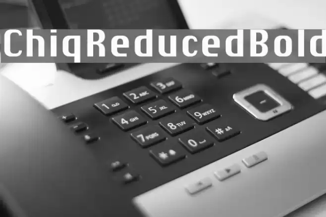 ChiqReduced-Bold Font examples