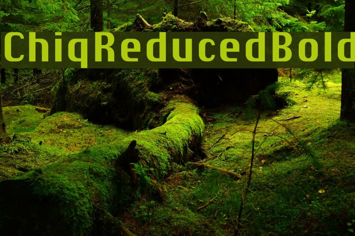 ChiqReduced-Bold Font examples