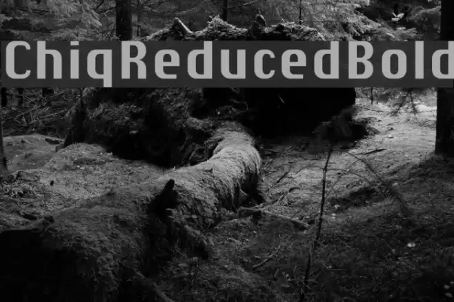 ChiqReduced-Bold Font examples