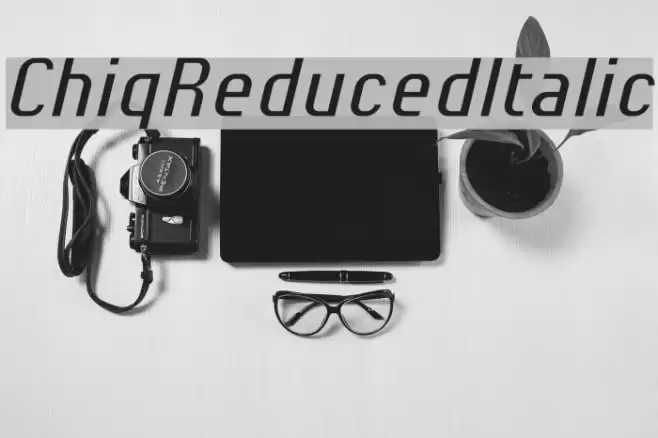 ChiqReduced-Italic Font examples