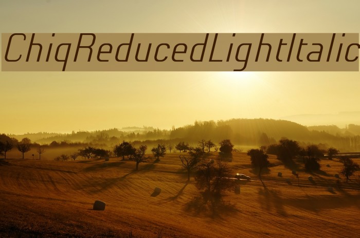 ChiqReduced-LightItalic Font examples