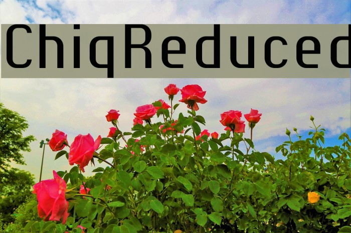 ChiqReduced Font examples