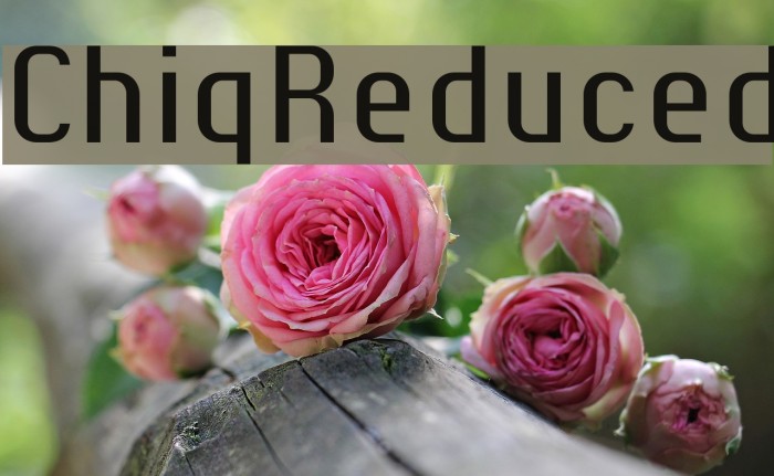 ChiqReduced Font examples
