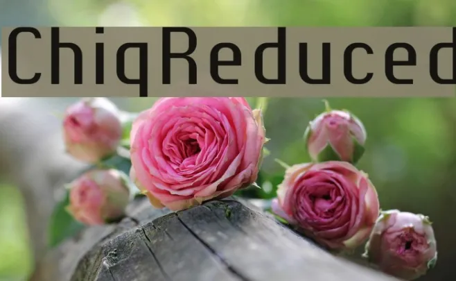 ChiqReduced Example 3