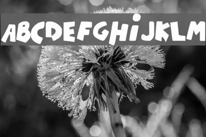 ChiquiFont Font examples