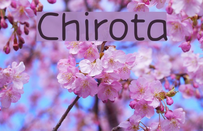 Chirota Font examples