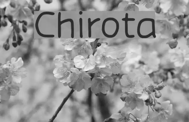 Chirota Caratteri examples