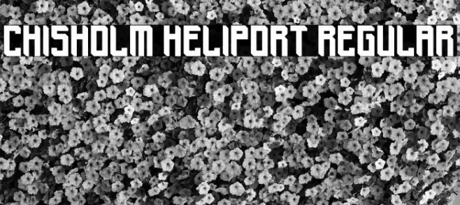 Chisholm Heliport Regular Caratteri examples