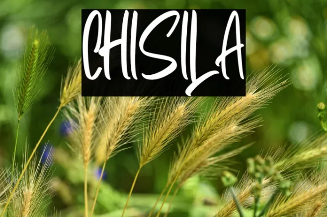 Chisila Example 3