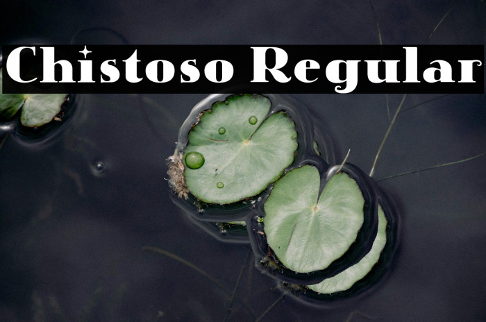 Chistoso Regular Example 2