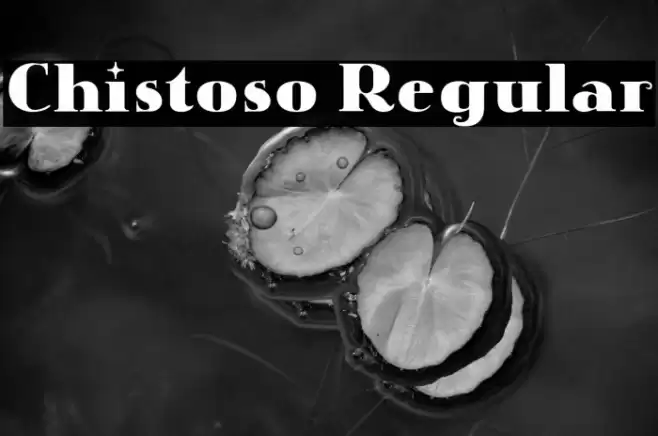 Chistoso Regular Font examples