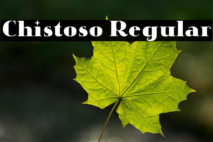 Chistoso Regular Example 3