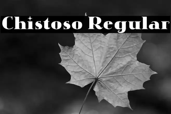 Chistoso Regular Font examples