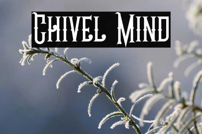 Chivel Mind Example 1