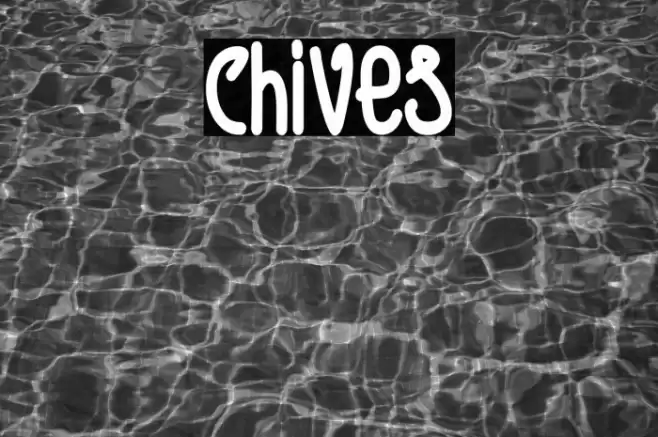 Chives Font examples