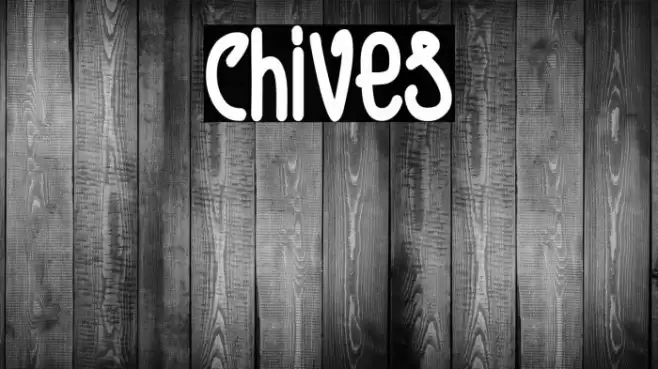 Chives Font examples