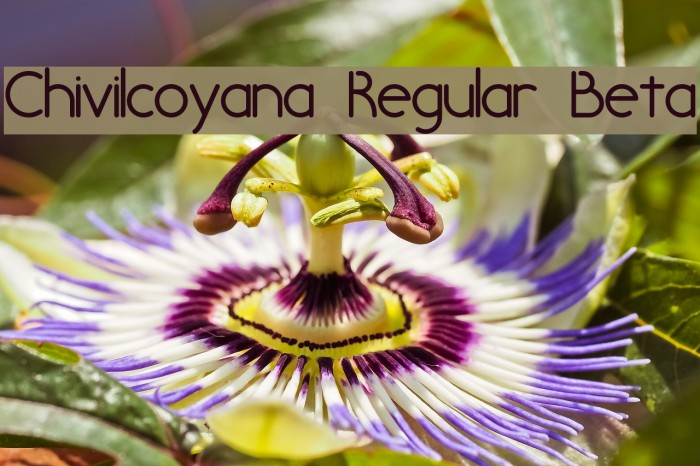 Chivilcoyana Regular Beta Font examples