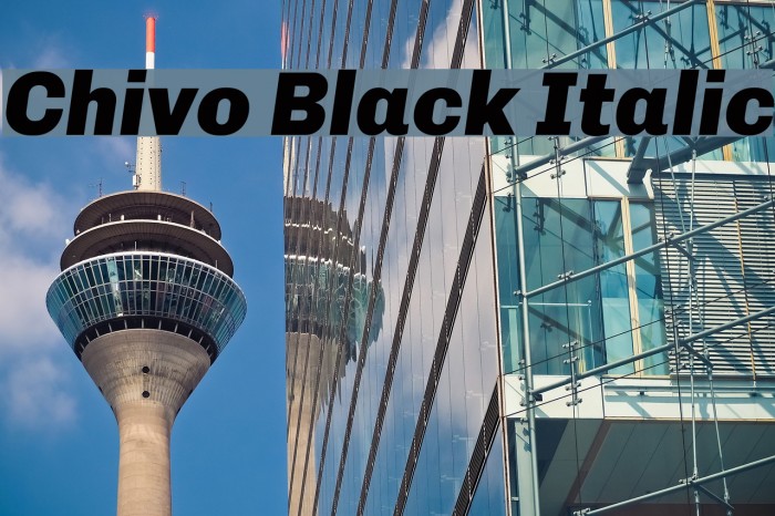 Chivo Black Italic Font examples