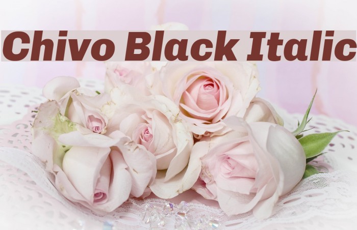 Chivo Black Italic Font examples