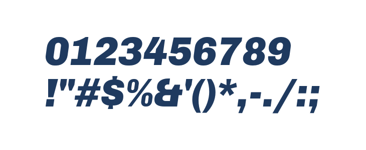 Chivo-BlackItalic Other Characters
