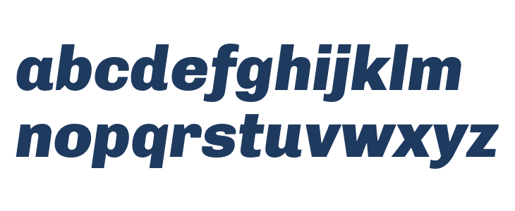 Chivo-BlackItalic Lowercase