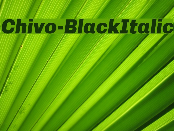Chivo-BlackItalic Font examples