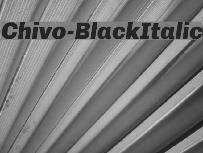 Chivo-BlackItalic Schriftart examples