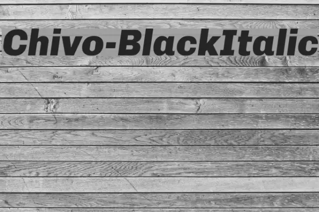Chivo-BlackItalic Schriftart examples