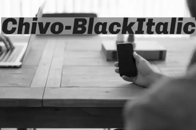 Chivo-BlackItalic Schriftart examples