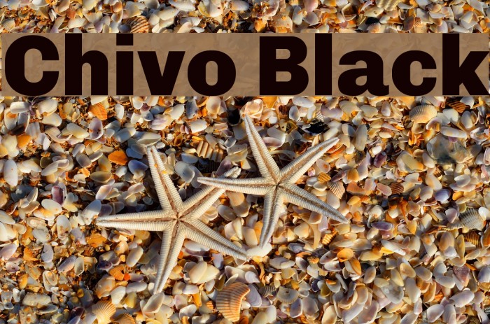 Chivo Black Font examples