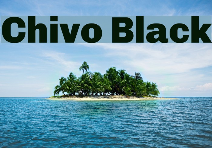 Chivo Black Font examples