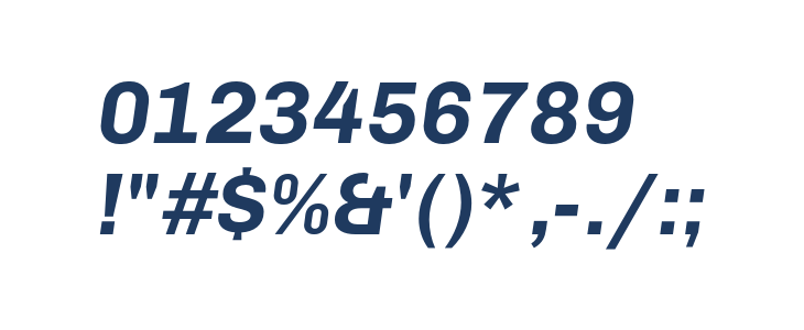 Chivo Bold Italic Other Characters