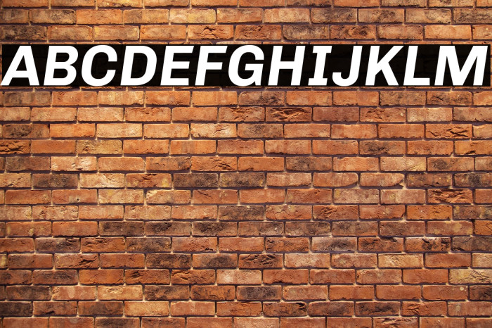 Chivo Bold Italic Example 2