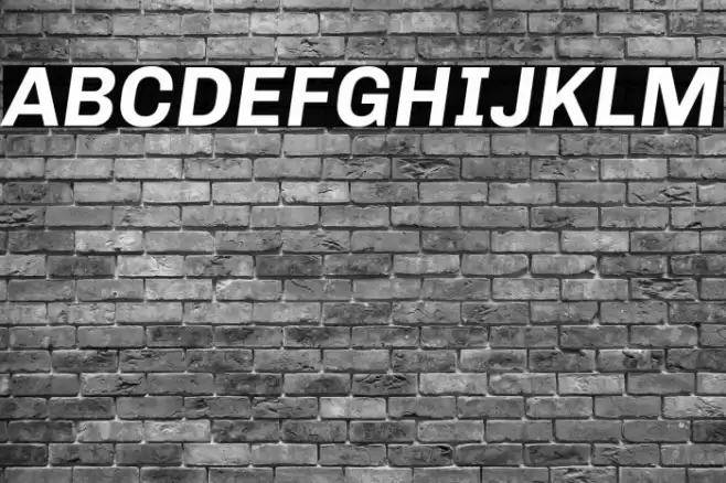 Chivo Bold Italic Font examples