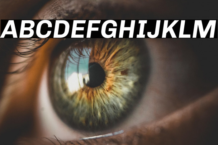 Chivo Bold Italic Example 3