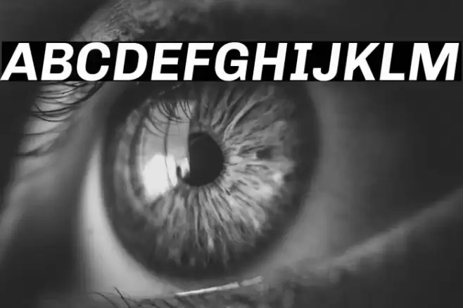 Chivo Bold Italic Font examples