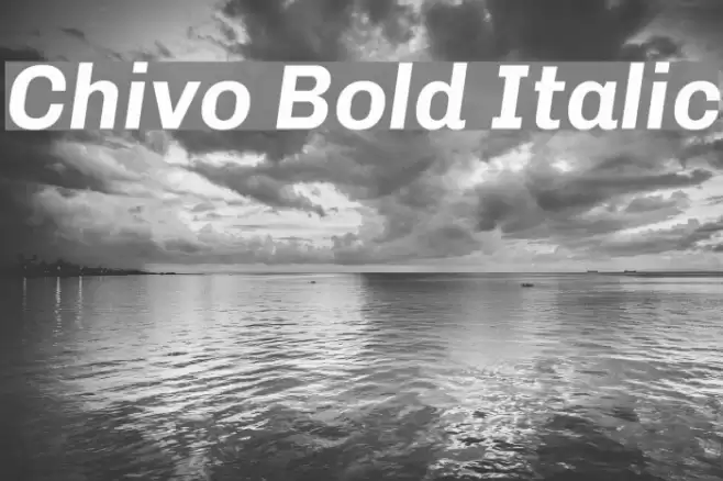 Chivo Bold Italic  examples