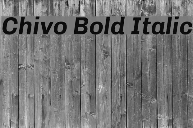 Chivo Bold Italic  examples