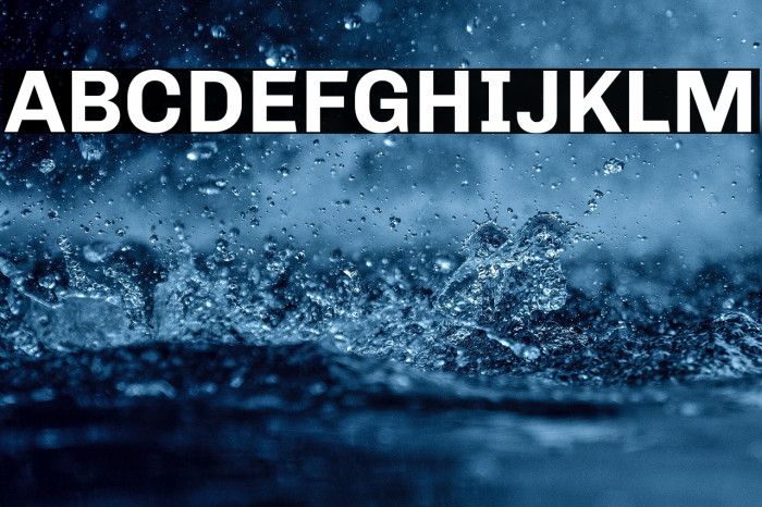 Chivo Bold Example 1