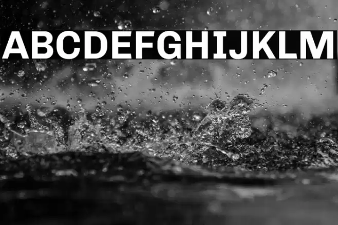 Chivo Bold Font examples