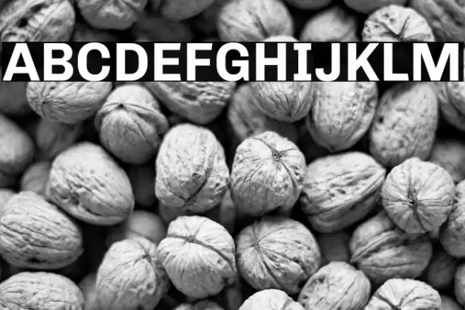 Chivo Bold Font examples