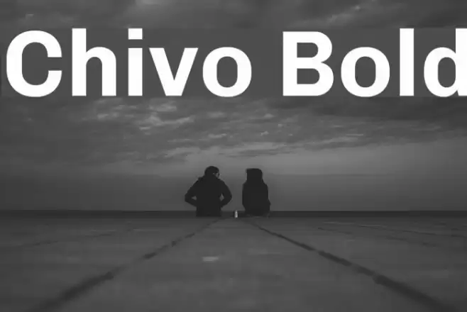 Chivo Bold Font examples