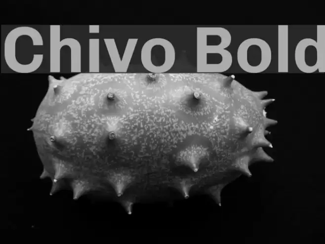 Chivo Bold Font examples