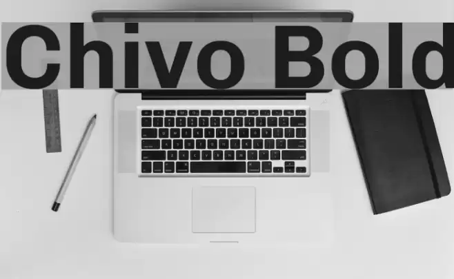 Chivo Bold Font examples